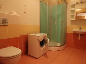 Pronájem bytu 1+kk, Brno - Husovice, Netušilova, 36 m2