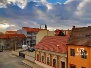 Pronájem bytu 1+kk, Brno - Husovice, Netušilova, 36 m2