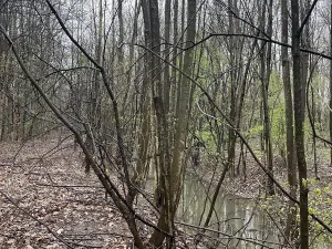 Prodej lesa, Pardubice, 7559 m2