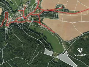 Prodej lesa, Březina, 24410 m2
