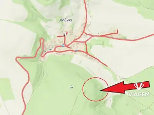 Prodej lesa, Březina, 24410 m2