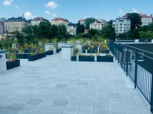 Pronájem bytu 2+kk, Praha - Vinohrady, Perucká, 41 m2