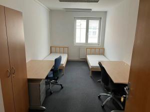 Pronájem bytu 1+kk, Pardubice, Smilova, 20 m2
