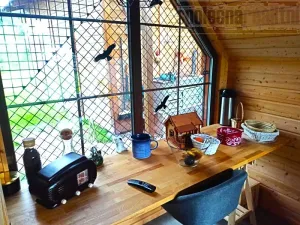 Prodej rodinného domu, Janské Lázně, Janská, 48 m2