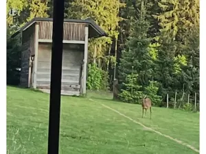Prodej chaty, Janské Lázně, Janská, 48 m2