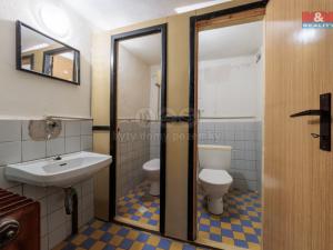 Prodej obchodního prostoru, Okrouhlá, 174 m2