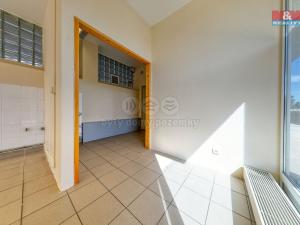 Prodej obchodního prostoru, Písek, Čechova, 53 m2