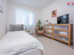 Pronájem bytu 4+1, Olomouc - Nová Ulice, Boženy Němcové, 100 m2