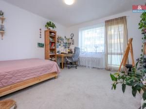 Pronájem bytu 4+1, Olomouc - Nová Ulice, Boženy Němcové, 100 m2
