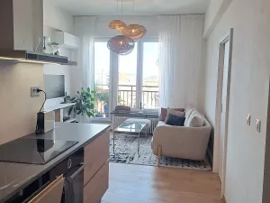 Pronájem bytu 2+kk, Praha - Holešovice, Veverkova, 40 m2