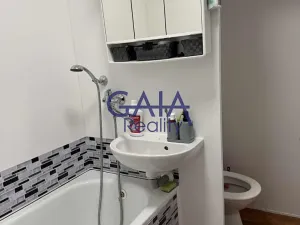 Pronájem bytu 1+1, Hodonín, Lesní, 33 m2
