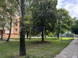 Pronájem bytu 1+1, Hodonín, Lesní, 33 m2