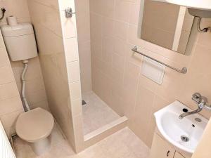 Pronájem bytu 1+1, Opava, Těšínská, 50 m2