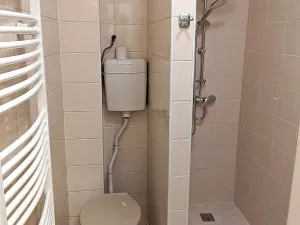 Pronájem bytu 1+1, Opava, Těšínská, 50 m2