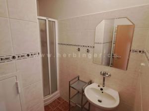 Prodej bytu 1+kk, Krásná, 25 m2