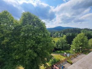 Prodej bytu 1+kk, Krásná, 25 m2