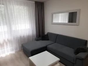 Pronájem bytu 1+1, Brno, Glinkova, 31 m2