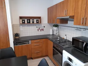 Pronájem bytu 1+1, Brno, Glinkova, 31 m2