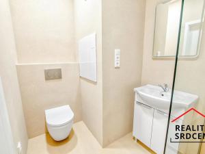 Pronájem bytu 1+kk, Frýdek-Místek, Jana Švermy, 35 m2