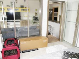 Pronájem bytu 2+kk, Plzeň, Květná, 51 m2