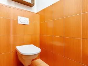 Pronájem bytu 3+kk, Olomouc, Voskovcova, 58 m2