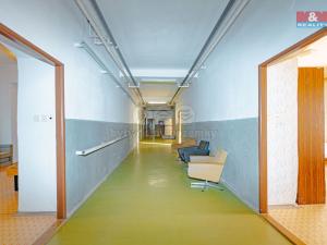 Prodej ubytování, Nové Město nad Metují, Rezek, 1700 m2