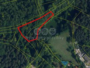 Prodej lesa, Mírová pod Kozákovem - Sekerkovy Loučky, 5461 m2