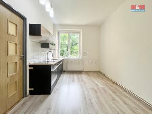 Pronájem bytu 1+1, Děčín - Děčín VIII-Dolní Oldřichov, Teplická, 41 m2