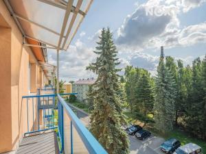 Pronájem bytu 2+1, Rýmařov, Větrná, 52 m2