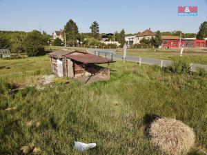 Prodej zahrady, Borohrádek, 431 m2