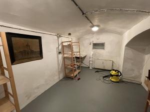 Pronájem skladu, Praha - Nusle, Oldřichova, 19 m2