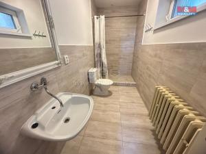 Pronájem bytu 1+kk, Mladá Boleslav, 9. května, 20 m2
