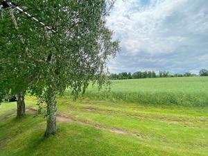 Prodej chaty, Červený Kostelec, U Brodského, 76 m2