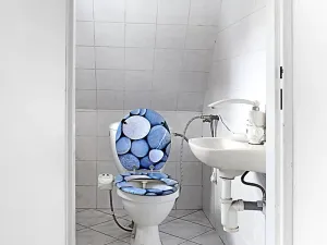Prodej rodinného domu, České Budějovice, Vrbenská, 200 m2