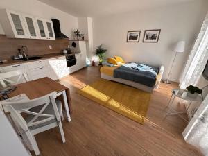 Pronájem bytu 1+kk, Brno, Francouzská, 27 m2