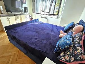 Pronájem bytu 2+1, Písek, Erbenova, 53 m2