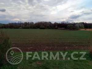 Prodej podílu pole, Úštěk, 68335 m2