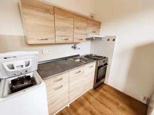 Pronájem bytu 1+1, Brno, Černého, 31 m2