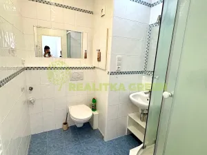 Pronájem bytu 1+1, Otrokovice, Luční, 33 m2