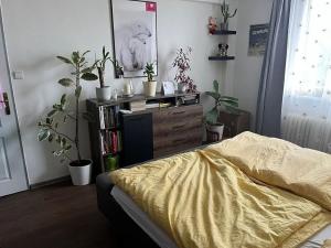 Pronájem bytu 2+1, Strakonice, Bezděkovská, 46 m2