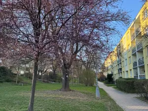 Pronájem bytu 2+1, Brno, 62 m2