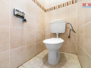 Pronájem obchodního prostoru, Domažlice - Dolejší Předměstí, Husova třída, 600 m2