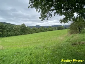 Prodej pozemku pro bydlení, Jince, Slavíkova, 1441 m2