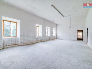 Pronájem obchodního prostoru, Plzeň - Východní Předměstí, sady 5. května, 330 m2