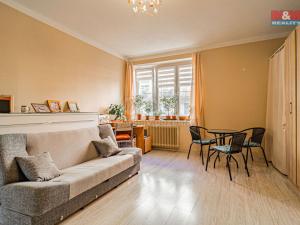 Prodej bytu 1+1, Český Těšín, Havlíčkova, 41 m2