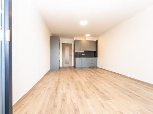 Pronájem bytu 1+kk, Praha - Háje, Výstavní, 33 m2
