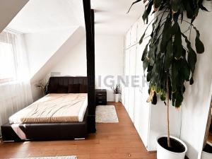Pronájem bytu 4+1, Praha, Vinohradská, 123 m2