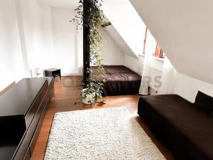 Pronájem bytu 4+1, Praha, Vinohradská, 123 m2