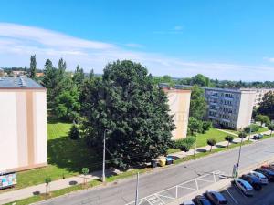 Prodej bytu 3+1, Hradec Králové - Slezské Předměstí, Severní, 63 m2