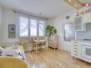 Pronájem bytu 1+1, Plzeň - Severní Předměstí, Elišky Krásnohorské, 36 m2